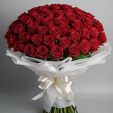 Букет 101 Красная роза Блэк Мэджик в Какашуре
