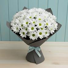 Букет цветов из:  Хризантемы в Какашуре