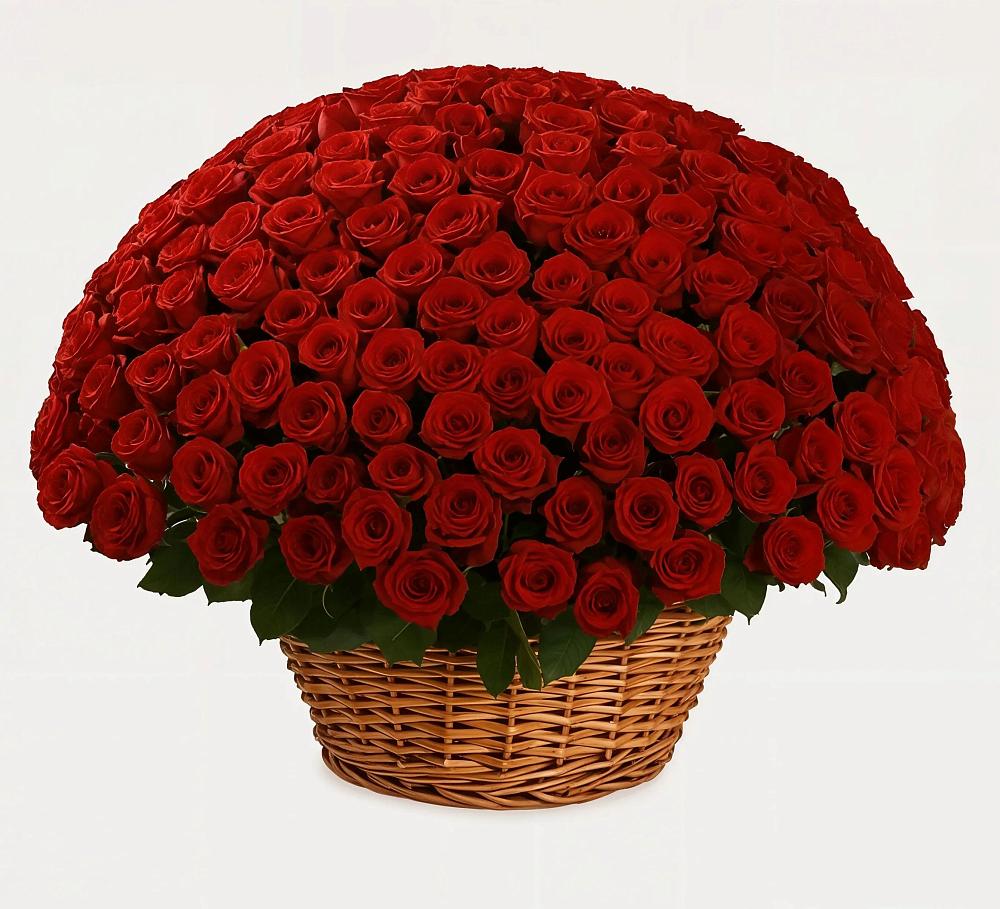 Премиум букет из: Розы в Какашуре