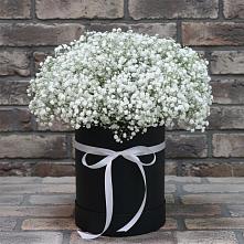 Цветочная композиция из Гипсофила в шляпной коробке в Какашуре